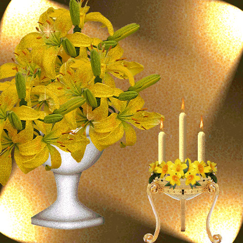 image.gif