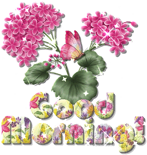 image.gif