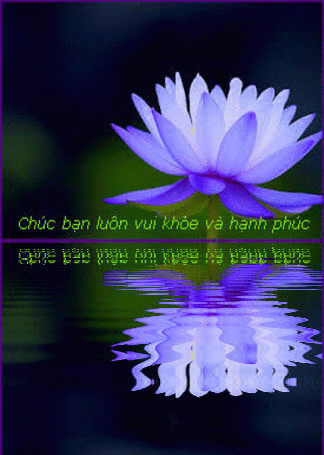 image.gif
