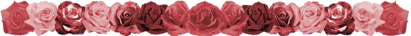 image.gif