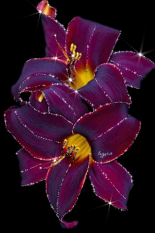 image.gif