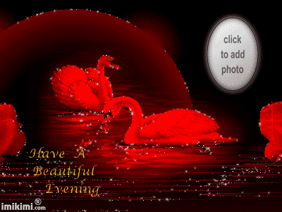 image.gif