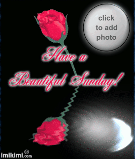 image.gif