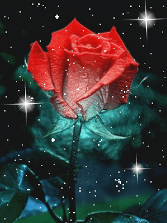 image.gif