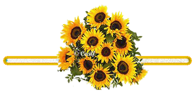 image.gif