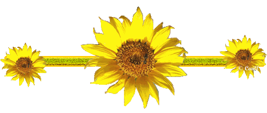 image.gif