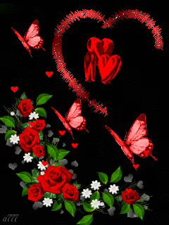 image.gif