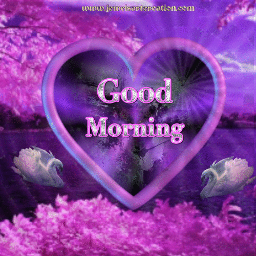 image.gif