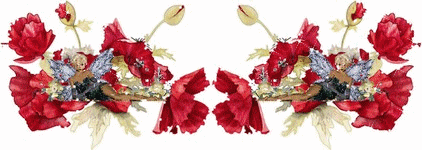 image.gif