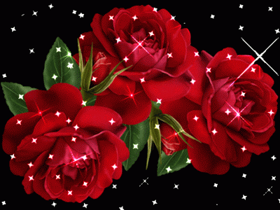 image.gif