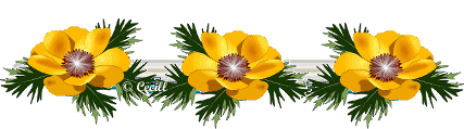 image.gif