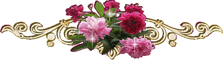 image.gif