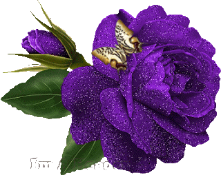image.gif