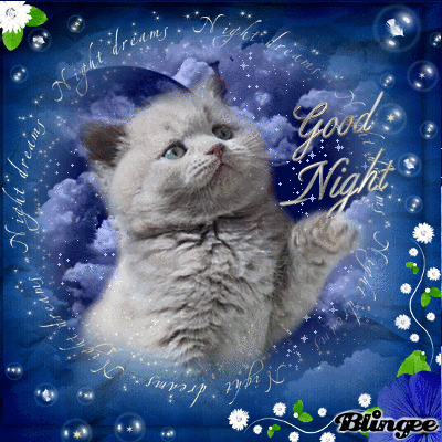 image.gif