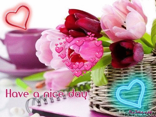 image.gif