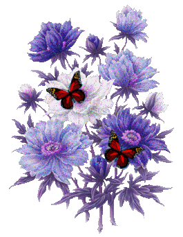 image.gif