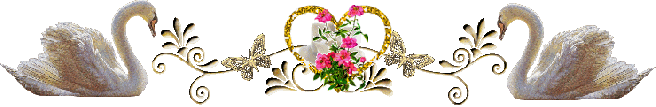 image.gif