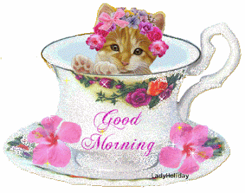 image.gif