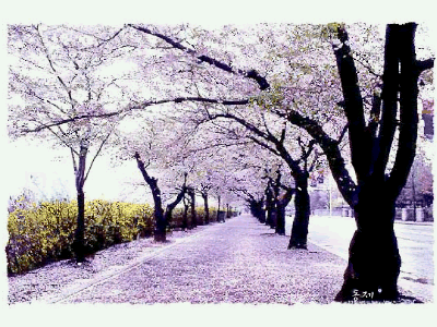 image.gif