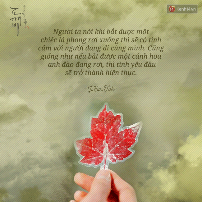 image.gif