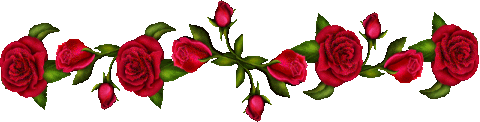 image.gif