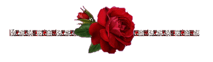 image.gif