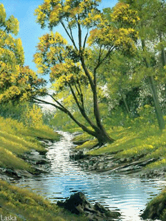 image.gif