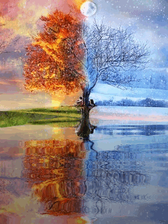 image.gif