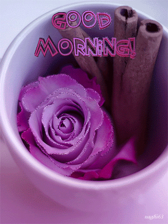 image.gif