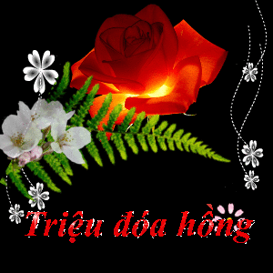 image.gif