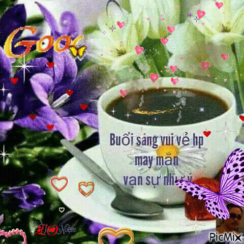 image.gif