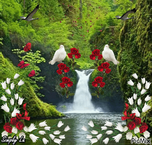 image.gif