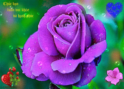 image.gif