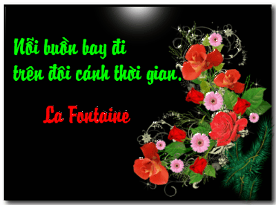 image.gif