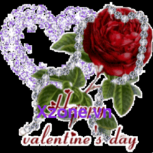 image.gif