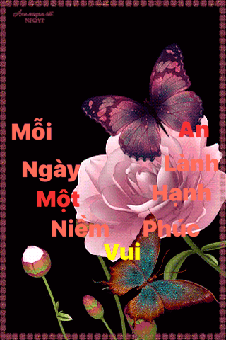 image.gif