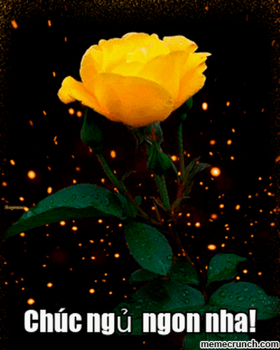 image.gif