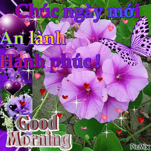 image.gif