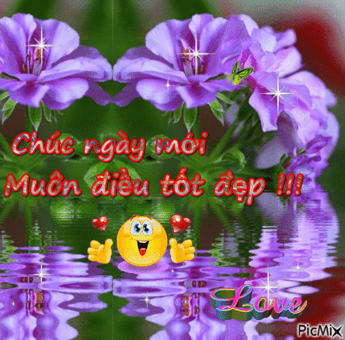image.gif