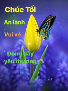 image.gif