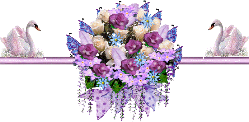 image.gif