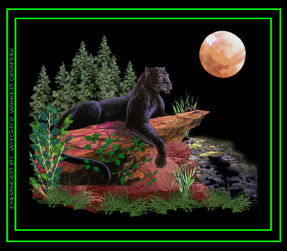 image.gif