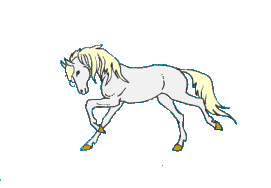 image.gif