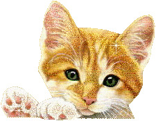 image.gif