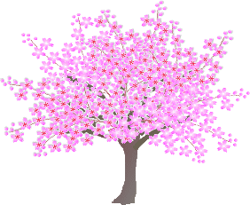 image.gif