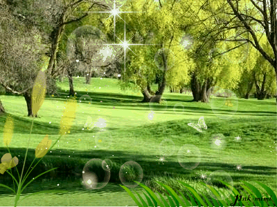 image.gif