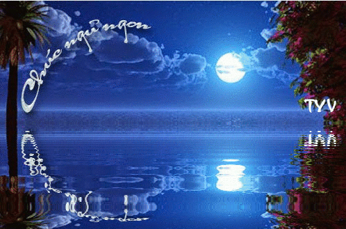 image.gif