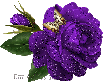 image.gif