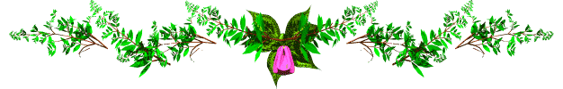 image.gif