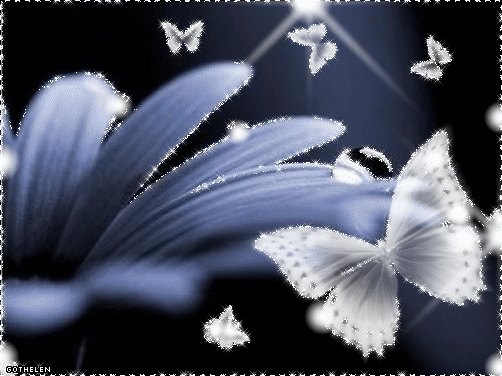 image.gif
